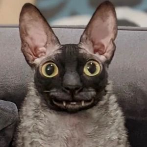 Meet your Posher, Justin